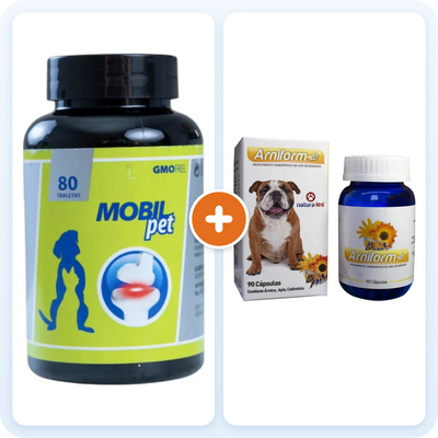 Kit Movilidad para Perros – Mobilpet + Arniform-Les