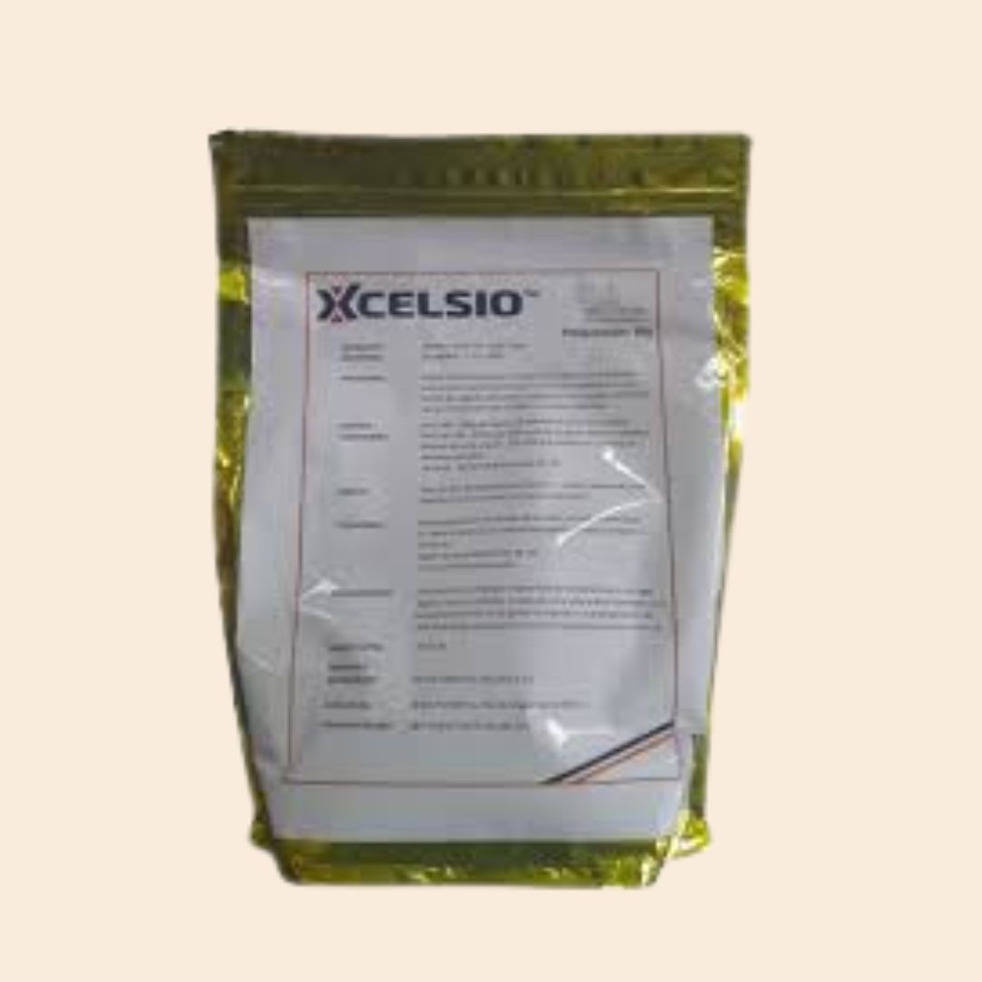XCELSIO – Probiótico natural para mejorar la salud intestinal y productividad animal
