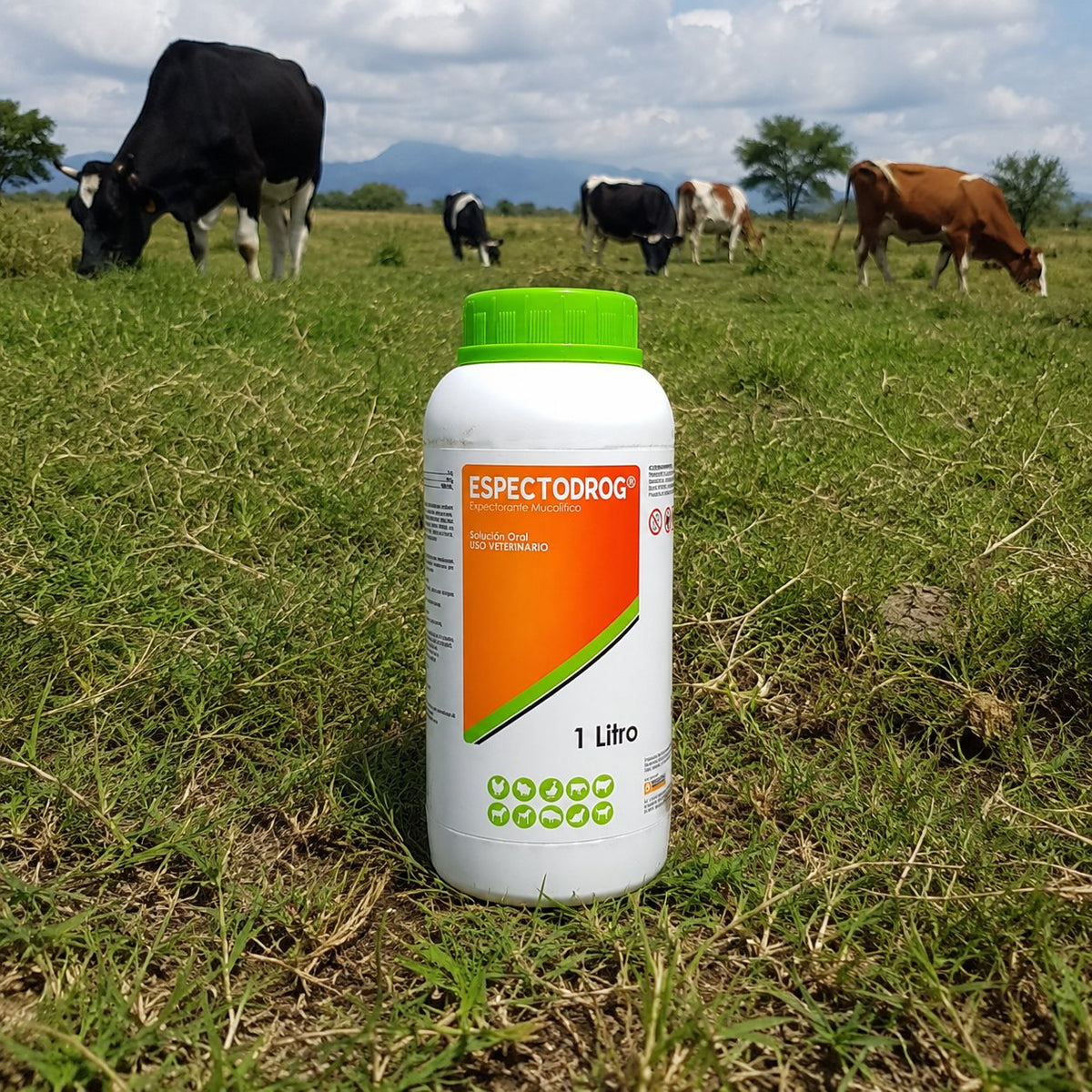 Espectodrog solución oral veterinaria 1 litro mucolítico secretolítico antihistamínico fondo blanco