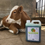 Herbal Green Shampoo Veterinario Repelente 2 L – imagen 2