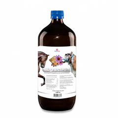 Magnech-Les Inmunomodulador Homeopático Veterinario 1000 mL | Todas las Especies