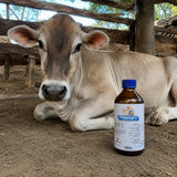 Passival-Les Solución Veterinaria para Estrés en Aves y Cerdos 500 mL – imagen 2