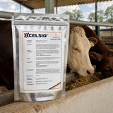 Xcelsio Probiótico Animal 200g | Bacillus subtilis Aves Porcinos Bovinos – imagen 2
