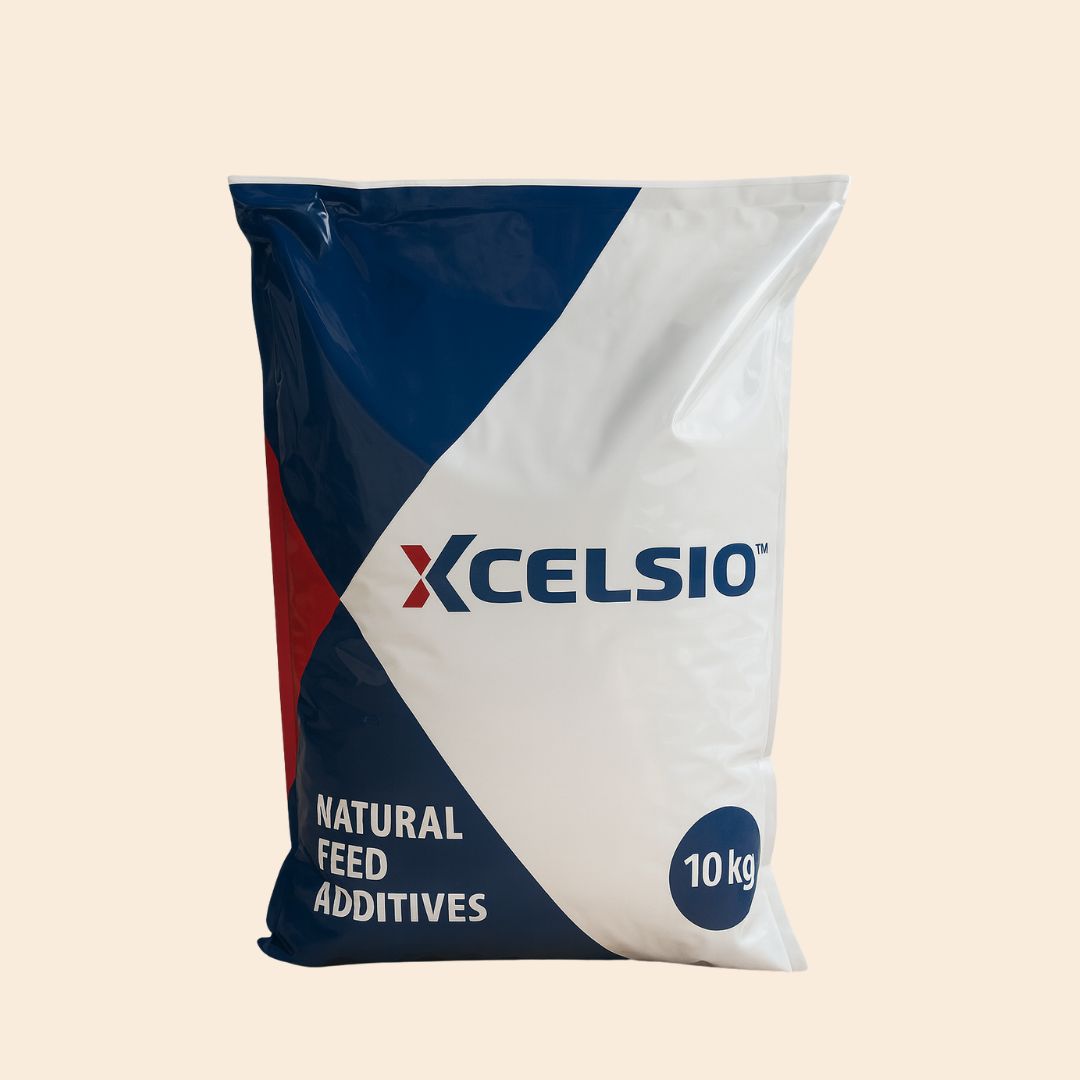 Xcelsio probiótico natural con Bacillus subtilis para aves, porcinos y bovinos
